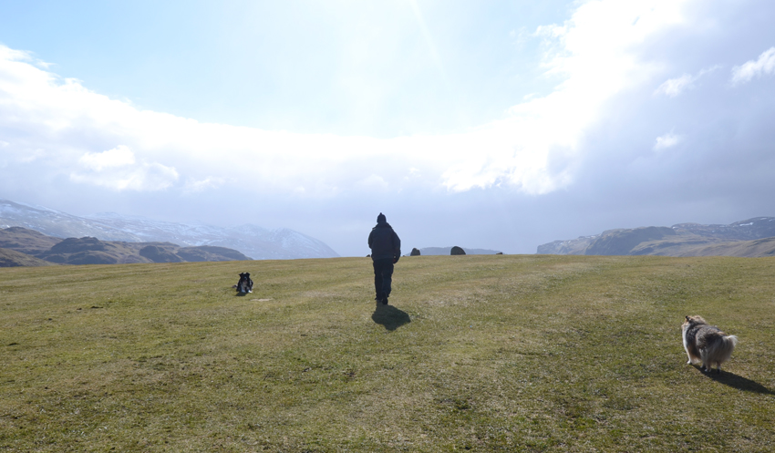 a man and two dogs walking towards stones